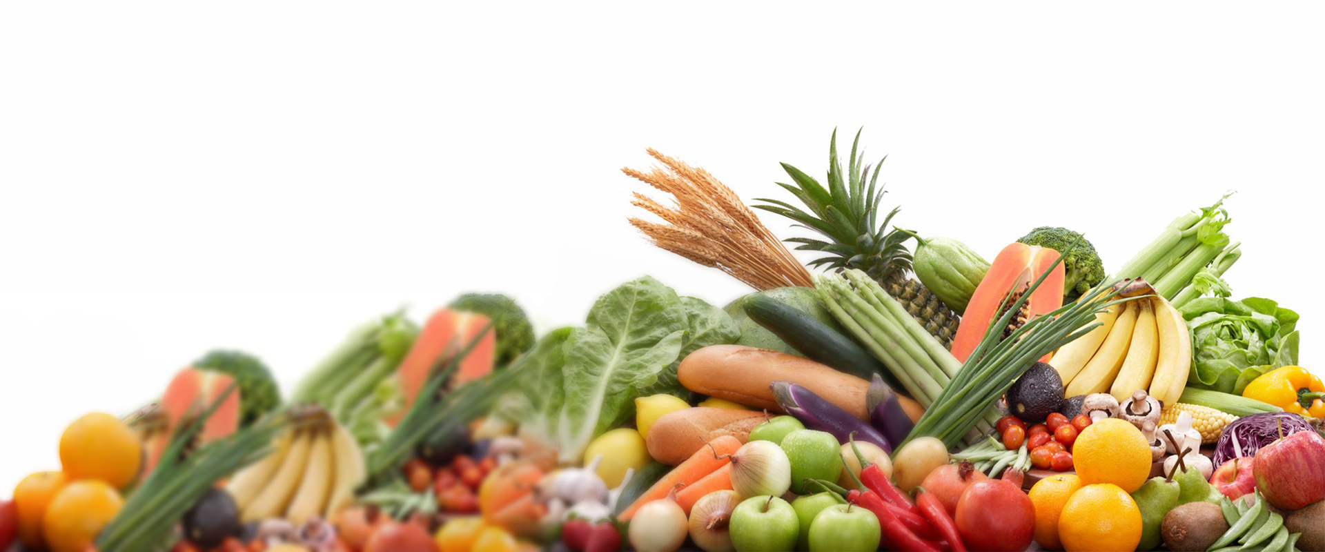 Feito Em Casa Gastronomia